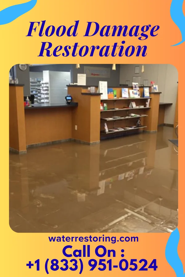 Flood Damage Restoration in Allison, IA