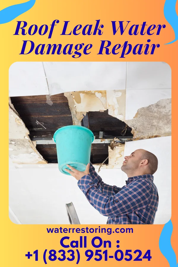 Roof Leak Water Damage Repair in Allison, IA